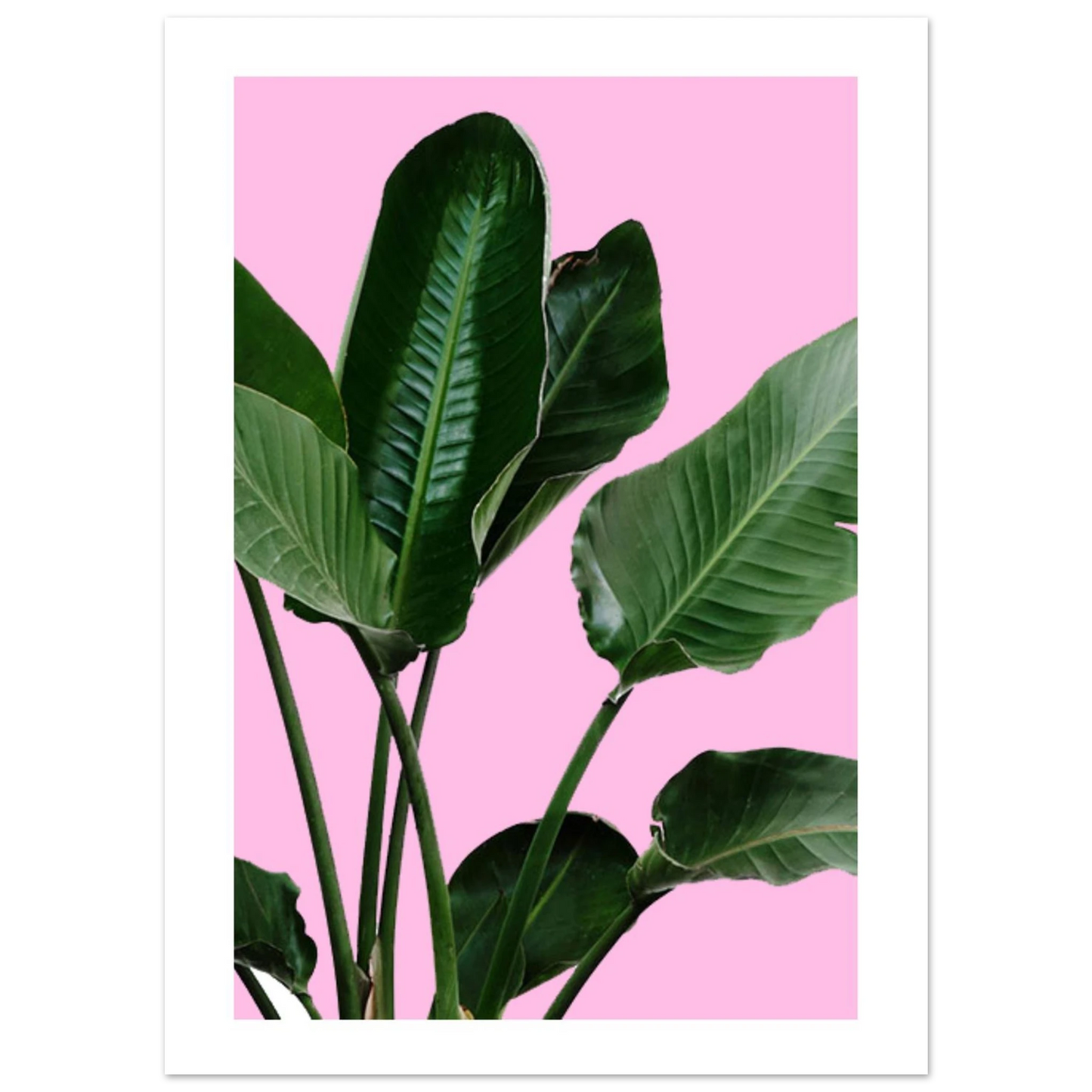 1019971b-4143-4c63-a6d0-844edbba0905