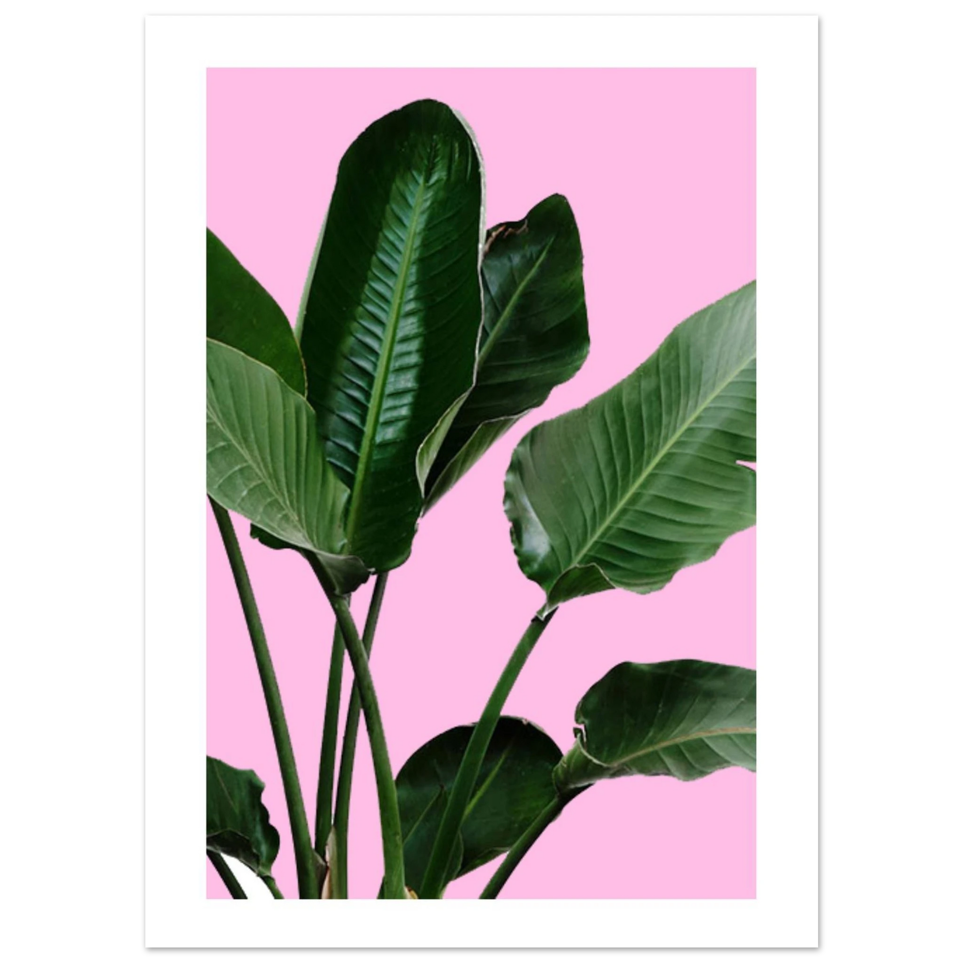 1019971b-4143-4c63-a6d0-844edbba0905