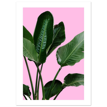 1019971b-4143-4c63-a6d0-844edbba0905