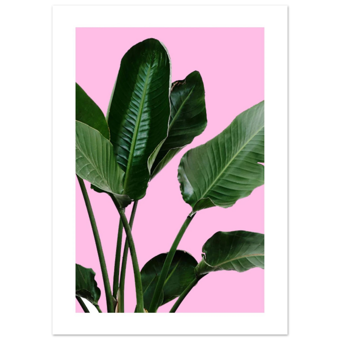 1e8426e8-1f44-4387-a527-84fa34e77bdf