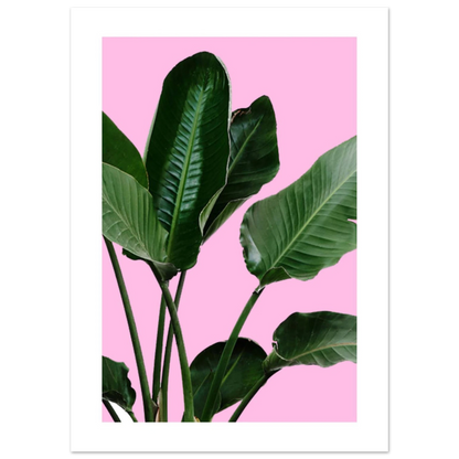 1e8426e8-1f44-4387-a527-84fa34e77bdf