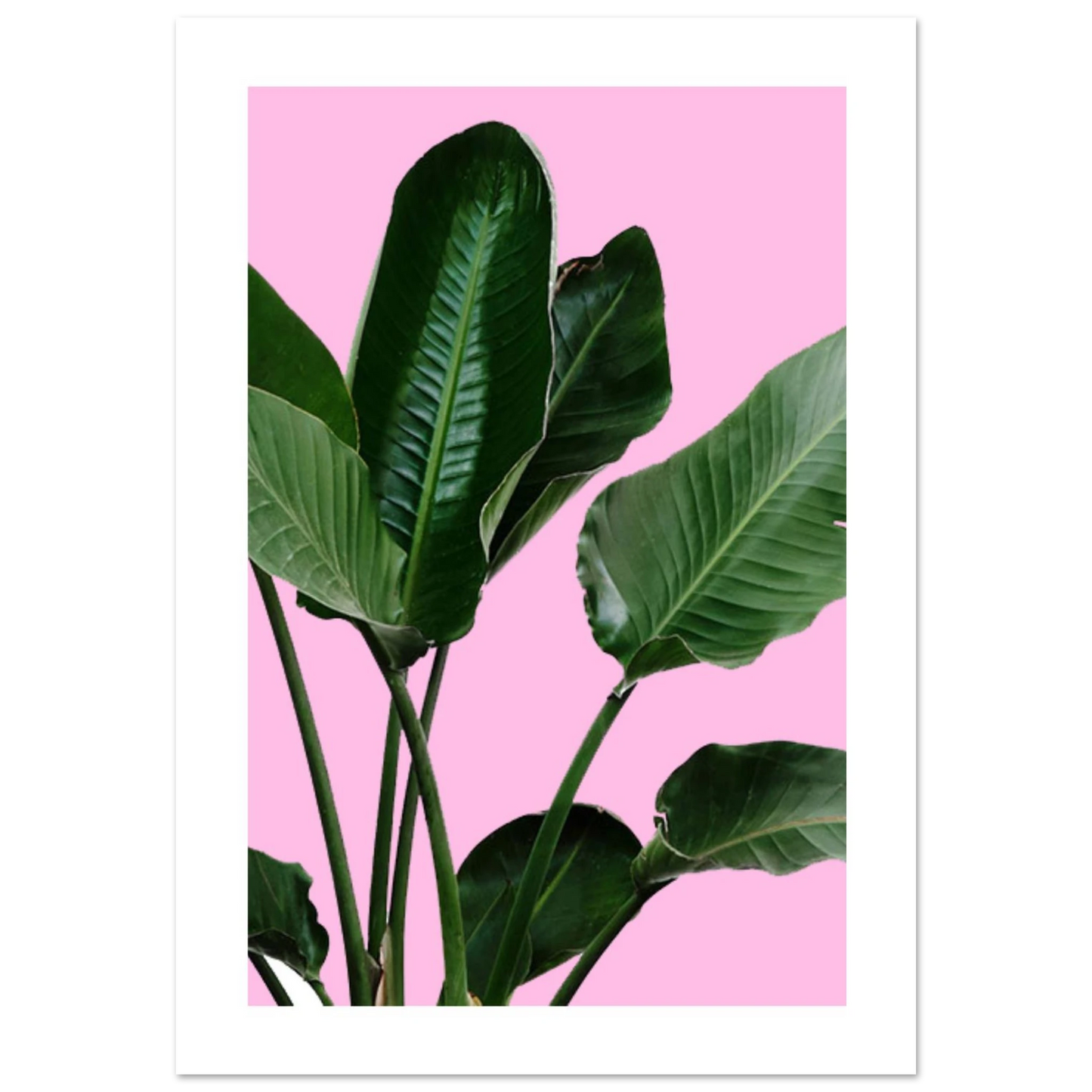 413a8a2f-521e-44b7-afe6-3495668a0d81