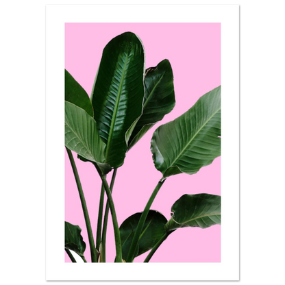 413a8a2f-521e-44b7-afe6-3495668a0d81