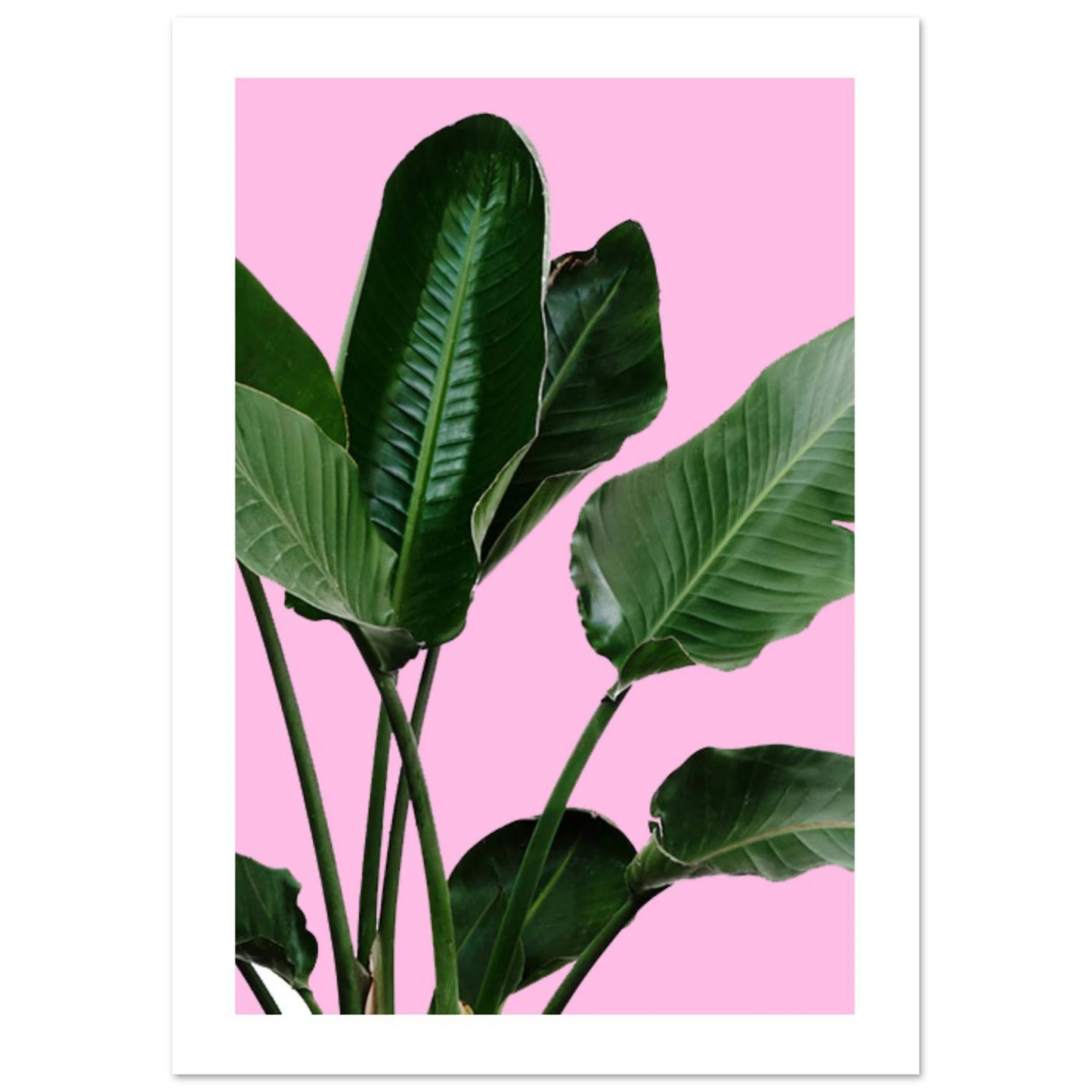 5023f2aa-9527-4c93-be70-f013647c57ea