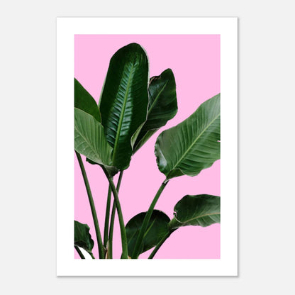 84cedf92-4f48-478d-9991-ee89c4a64b20