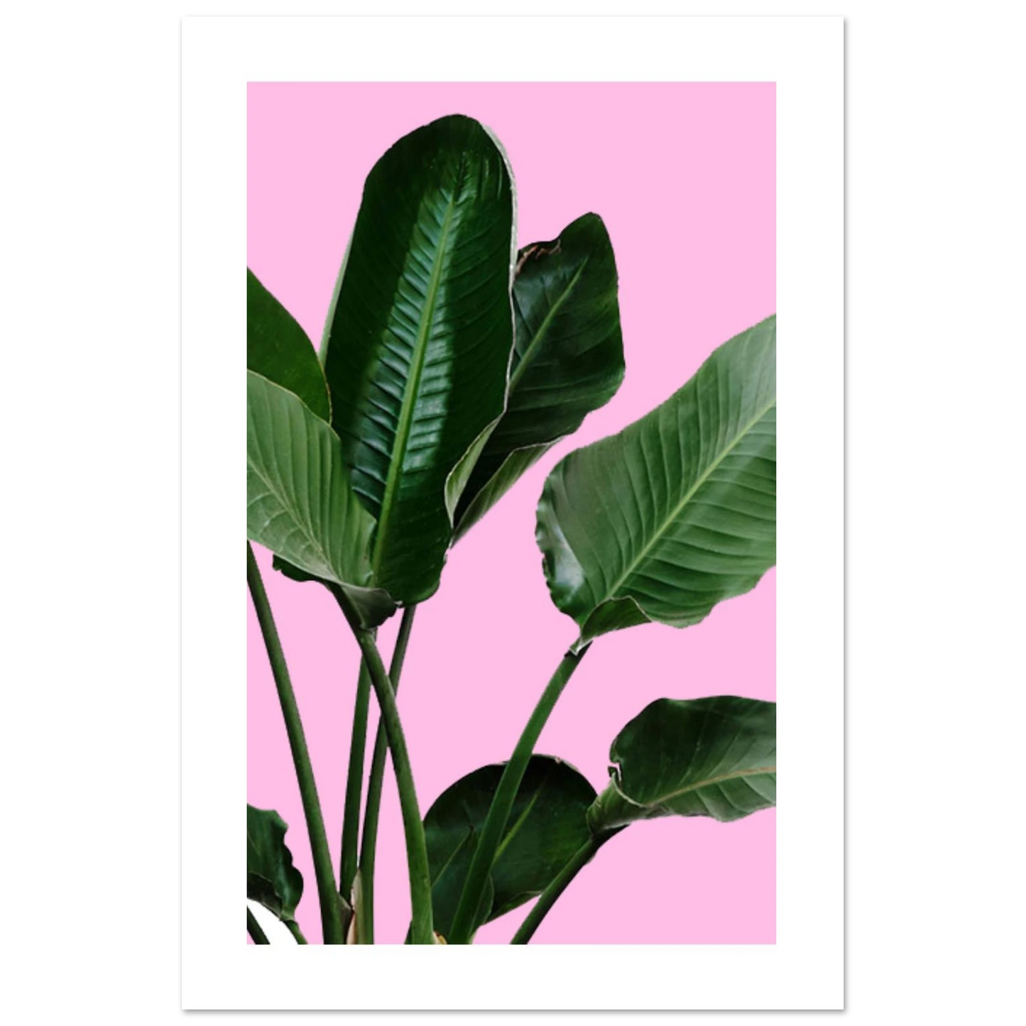 b4f2e700-dafe-40d5-9925-33de0156de06