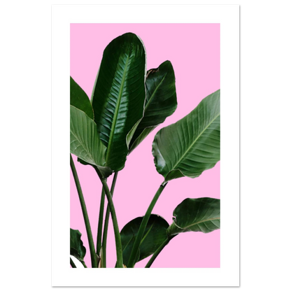 b4f2e700-dafe-40d5-9925-33de0156de06