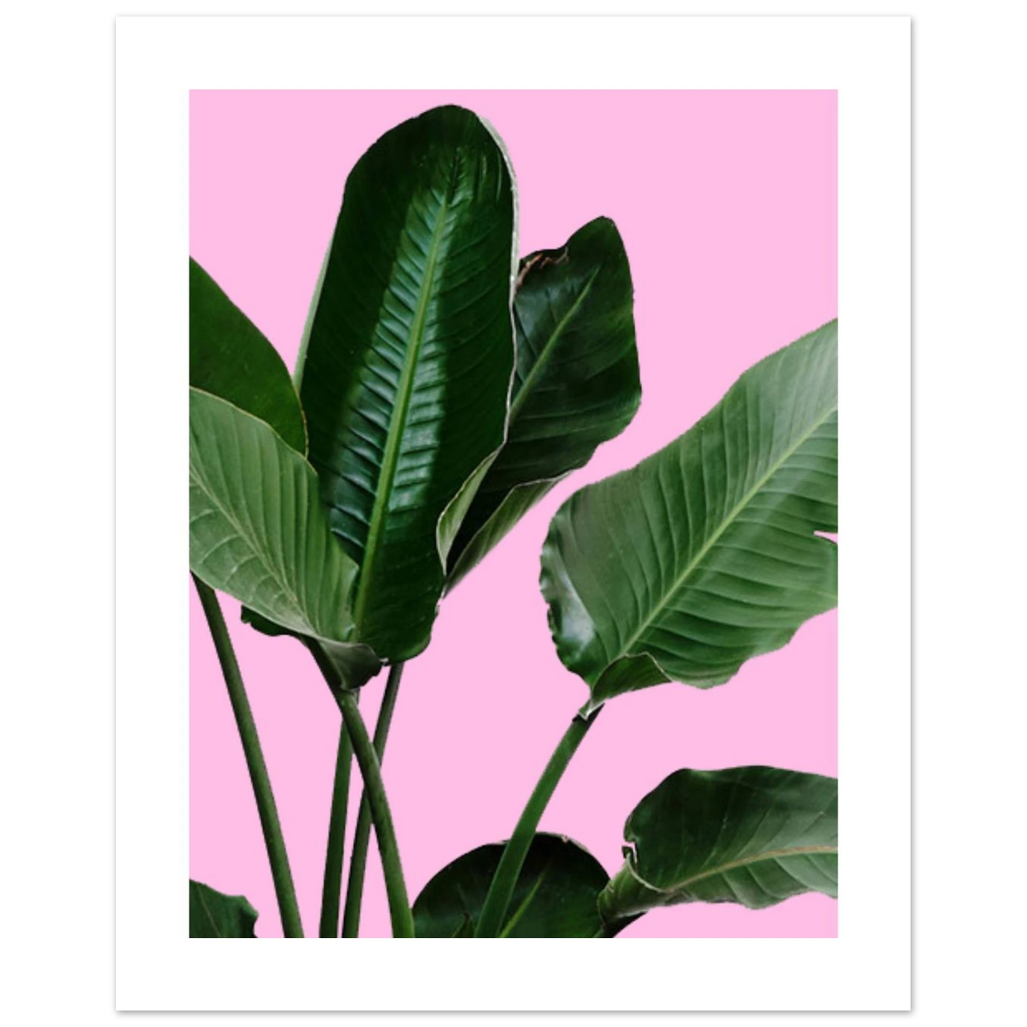 c71dc93e-d970-4e1e-ab03-0e0103557431