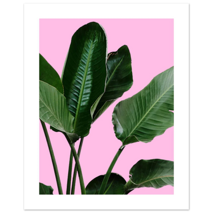 c71dc93e-d970-4e1e-ab03-0e0103557431