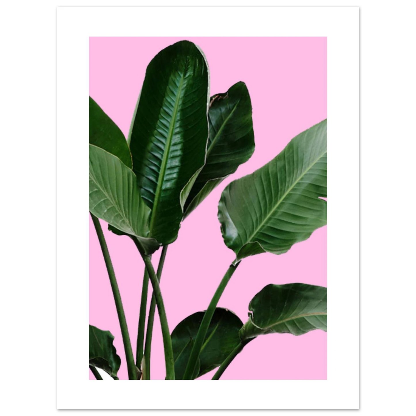 e7220316-293c-4f7c-8e39-d4facff5d643