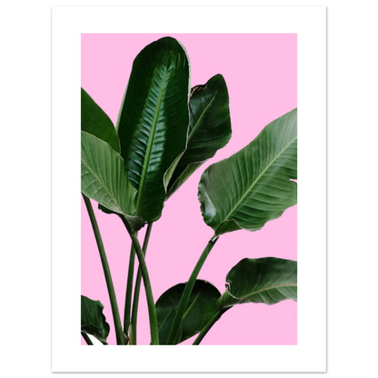 e7220316-293c-4f7c-8e39-d4facff5d643